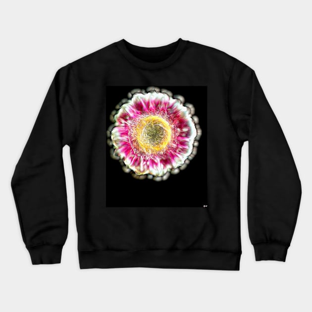 Gerbera Crewneck Sweatshirt by danieljanda